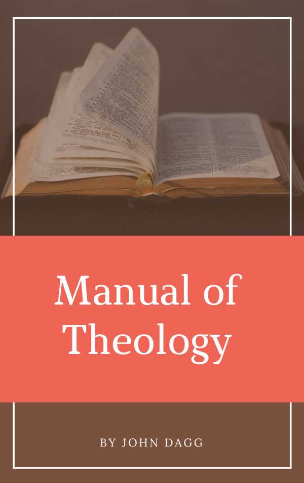 bw-manual-of-theology-darolt-books-9786586145564