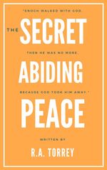 bw-the-secret-of-abiding-peace-nibus-mgico-9788582181928