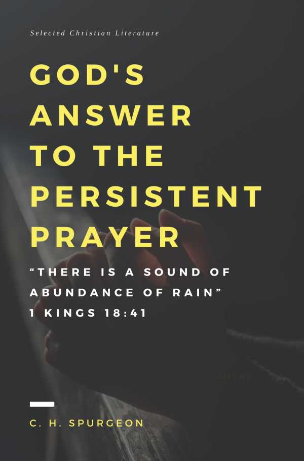 bw-gods-answer-to-the-persistent-prayer-selected-christian-literature-9788582184042