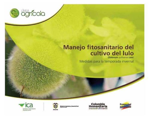 Manejo fitosanitario del cultivo del lulo Medidas para la temporada invernal