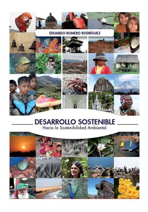 Desarrollo sostenible Hacia la sostenibilidad ambiental