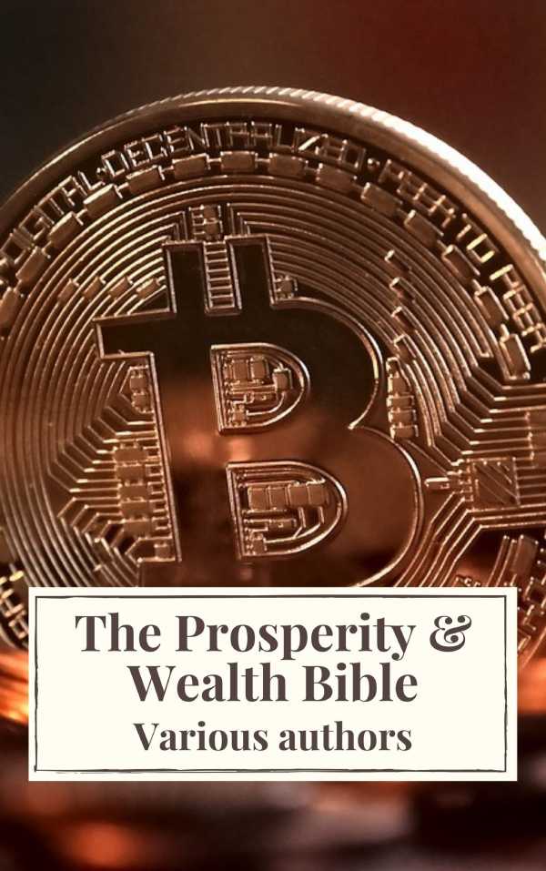 bw-the-prosperity-amp-wealth-bible-icarsus-9782378079093