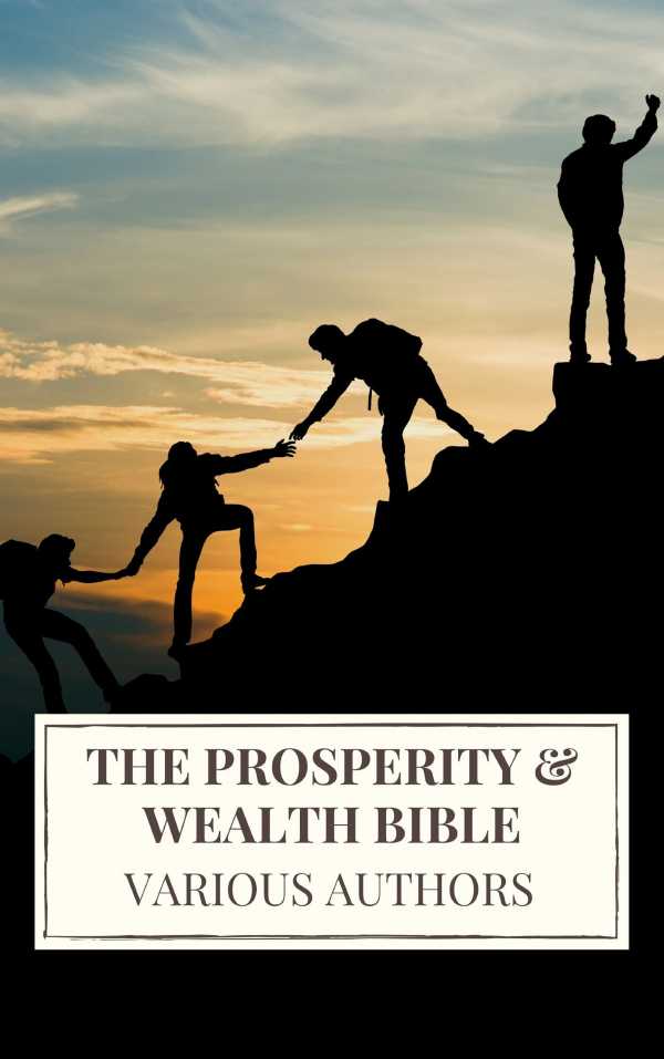 bw-the-prosperity-amp-wealth-bible-icarsus-9782378079468