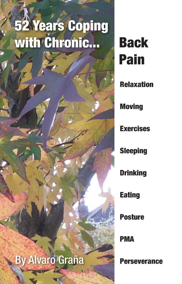 bw-52-years-coping-with-chronic-back-pain-dolman-scott-publishing-9781838496760