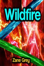 bw-wildfire-phoemixx-classics-ebooks-9783986477929