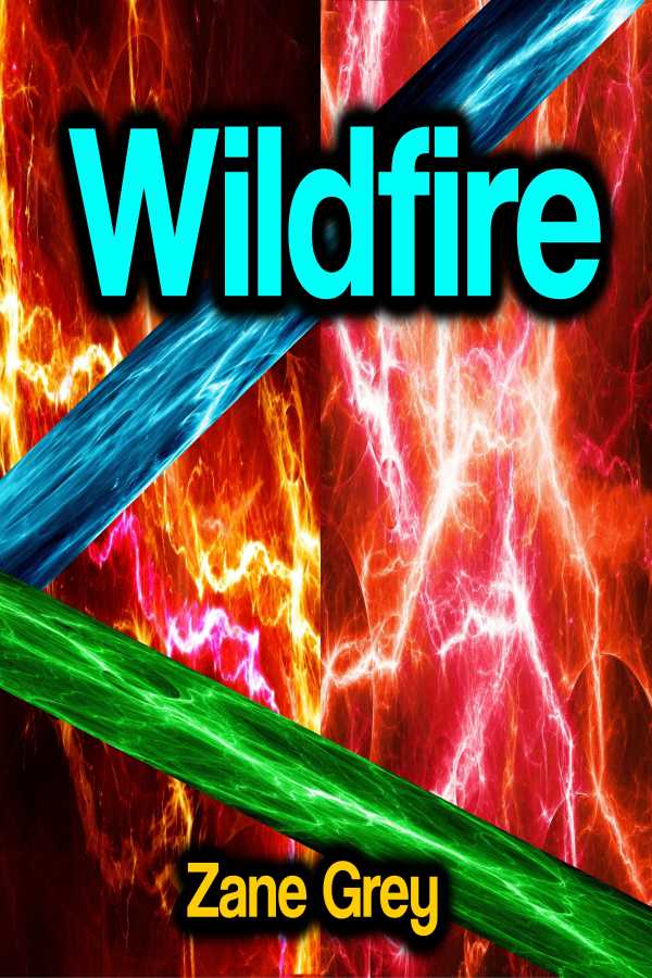 bw-wildfire-phoemixx-classics-ebooks-9783986477929