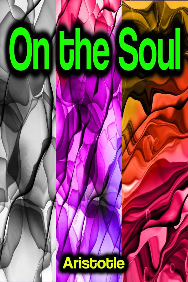 bw-on-the-soul-phoemixx-classics-ebooks-9783986773885