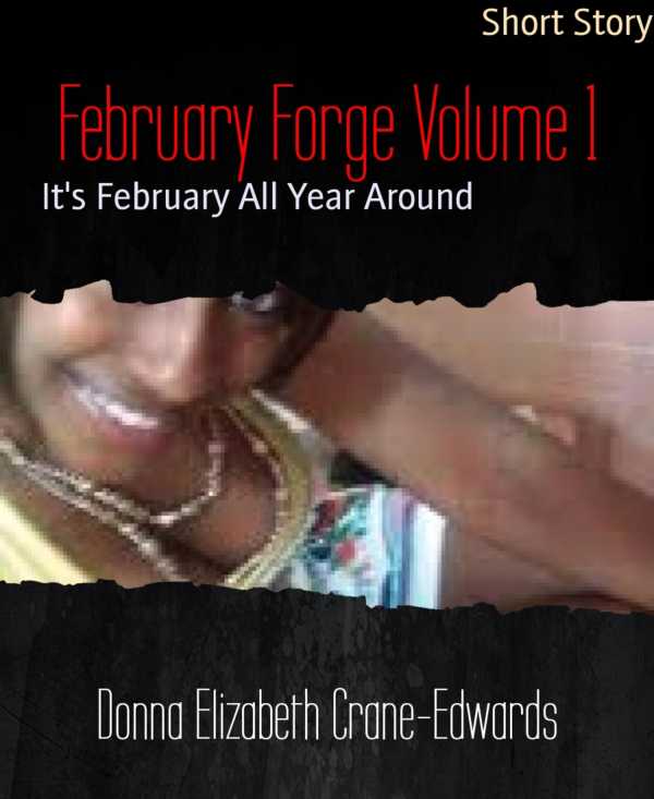bw-february-forge-volume-1-bookrix-9783739655628