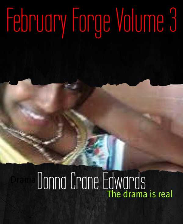bw-february-forge-volume-3-bookrix-9783739656700