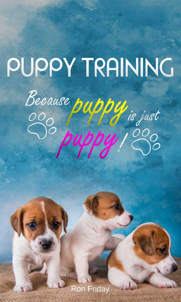 bw-puppy-training-because-puppy-is-just-puppy-pletl-9783986779702