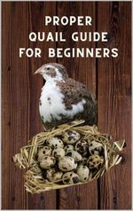 bw-proper-quail-guide-for-beginners-epubli-9783754945148
