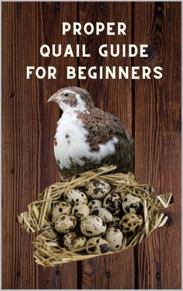 bw-proper-quail-guide-for-beginners-epubli-9783754945148
