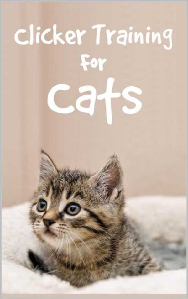 bw-clicker-training-for-cats-epubli-9783754947227
