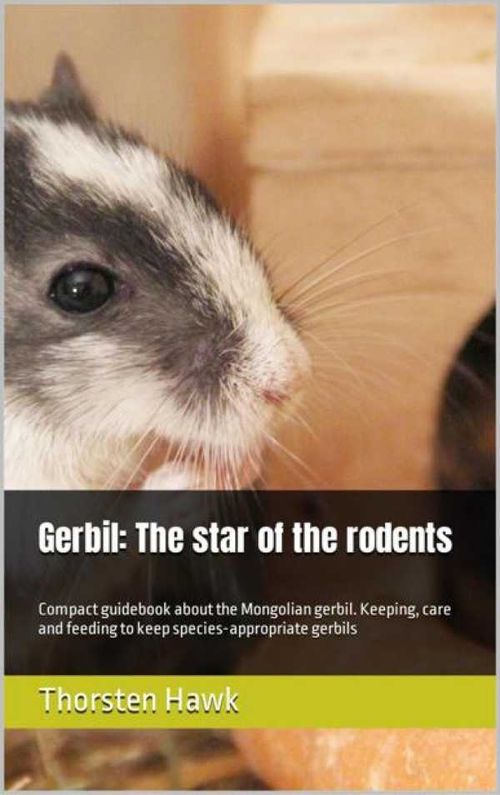 Gerbil The star of the rodents