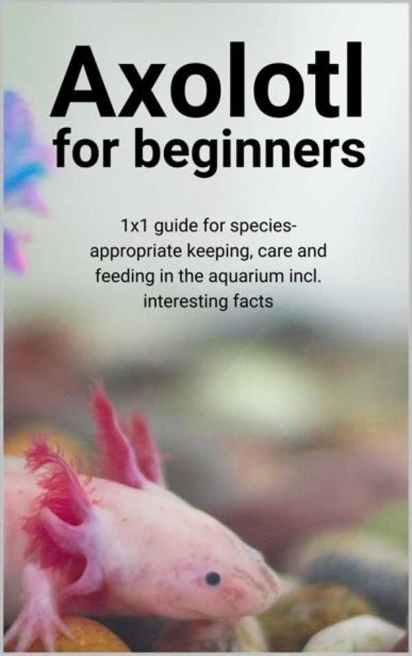 bw-axolotl-for-beginners-epubli-9783754939208