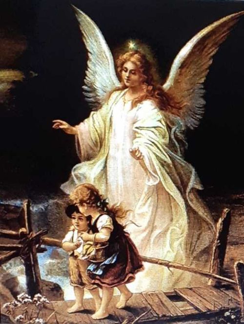Cánticos de Alegría Gloria a Dios Los Hijos de los Pioneros Peregrinos Caminantes 7 Libro