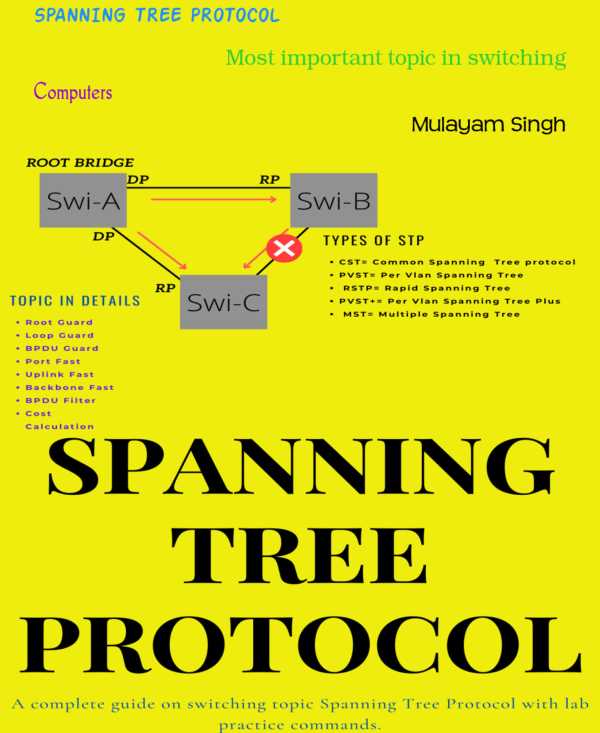 bw-spanning-tree-protocol-bookrix-9783755411352