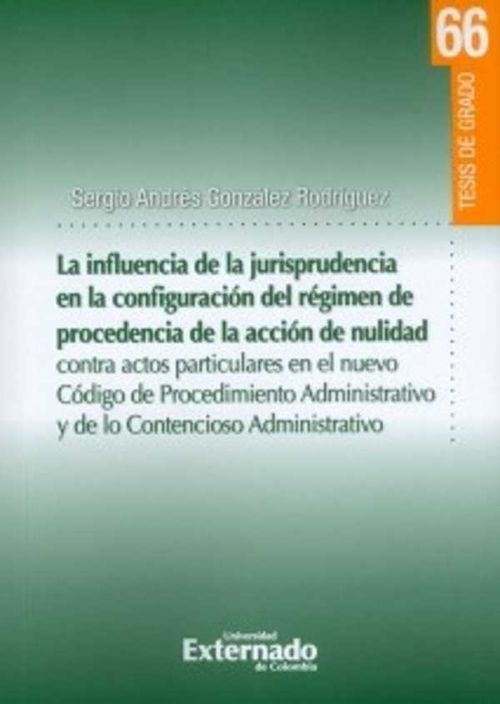 La influencia de la jurisprudencia de la configuraci?n del r?gimen de procedencia de la acci?n de nulidad