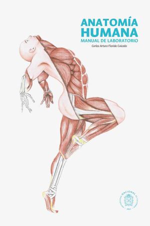 Anatomía humana Manual de laboratorio