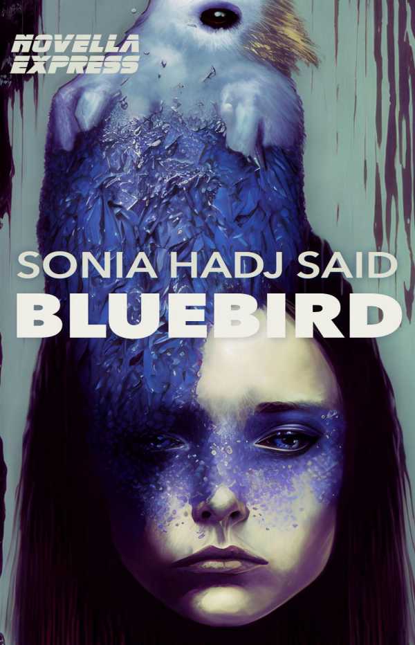 bw-bluebird-novella-express-9781914090714