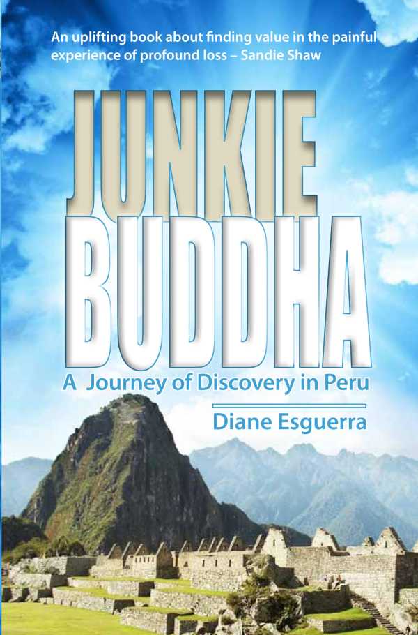 bw-junkie-buddha-eye-press-9781785630019