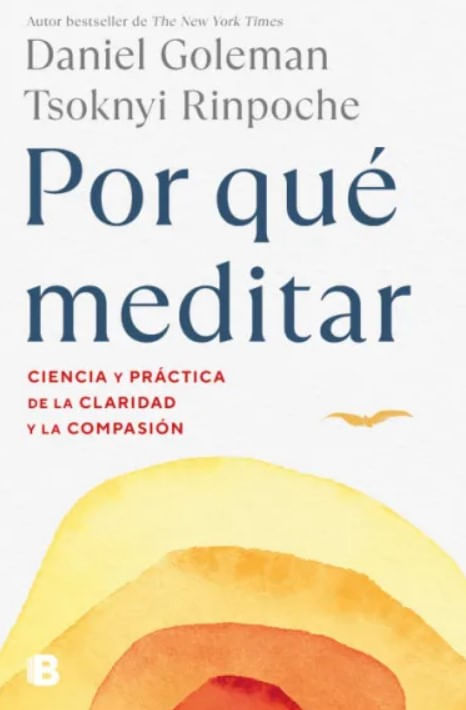 Por qué meditar