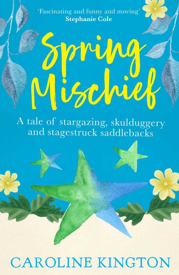 bw-spring-mischief-lightning-books-9781785630996