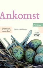 bw-ankomst-peirene-press-9781908670595