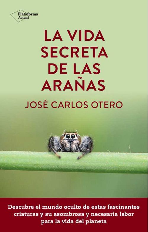 La vida secreta de las arañas
