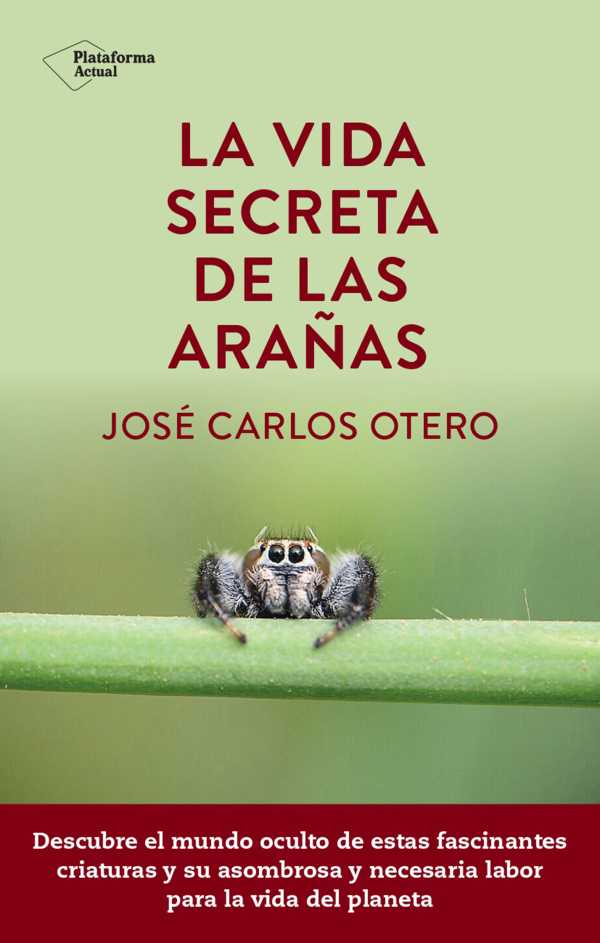 bw-la-vida-secreta-de-las-arantildeas-plataforma-9788419655196