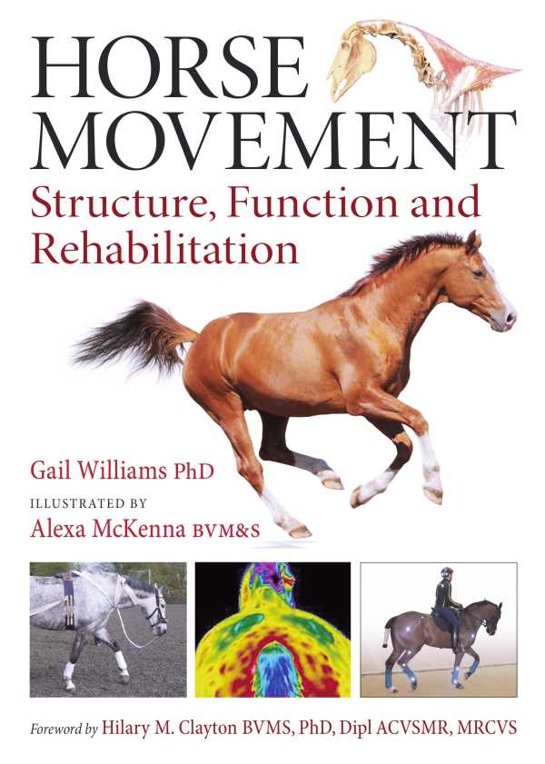 bw-horse-movement-j-a-allen-9781908809681