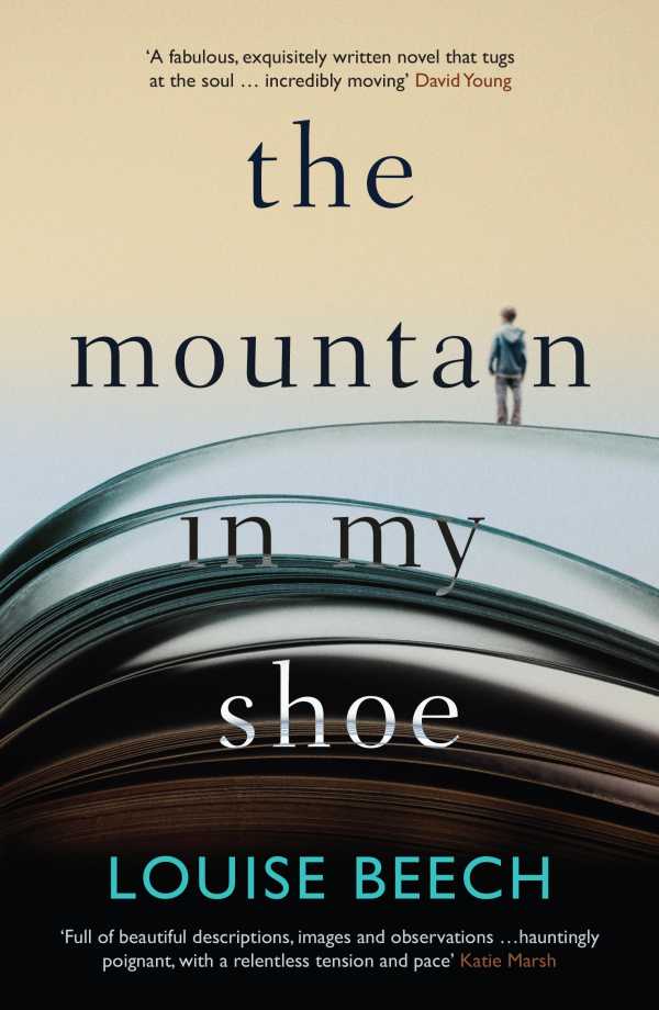 bw-the-mountain-in-my-shoe-orenda-books-9781910633403