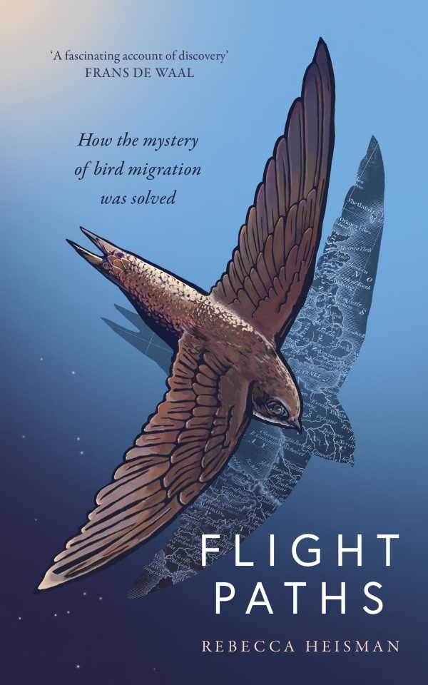 flight-paths-ebook-rebecca-heisman-libreria-de-la-u