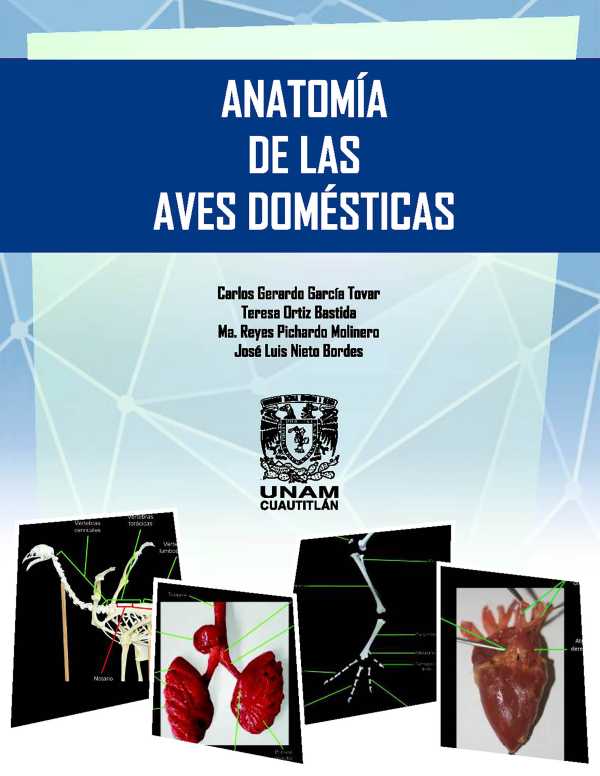 bw-anatomiacutea-de-las-aves-domeacutesticas-unam-facultad-de-estudios-superiores-cuautitln-9786073059213