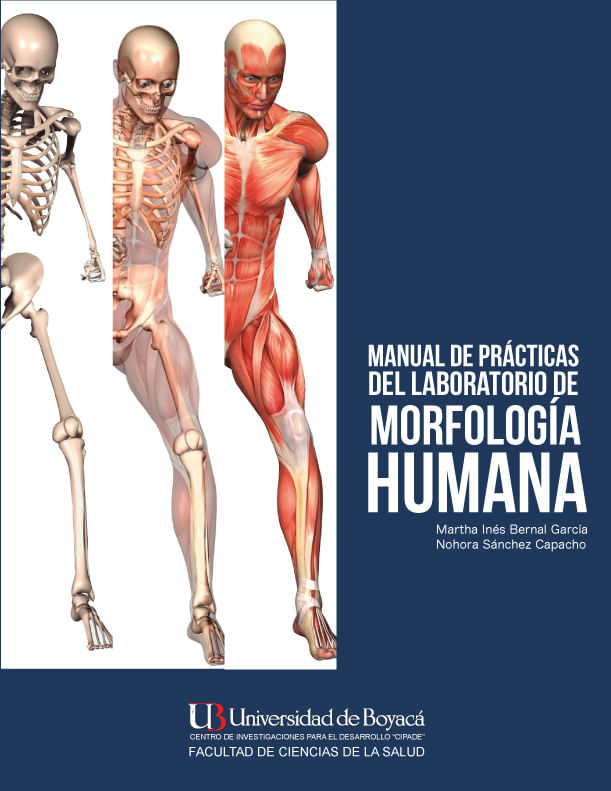 manual-de-practicas-de-laboratorio-de-morfologia-humana-9789588642536-uboy