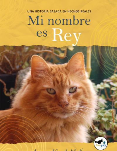 MI Nombre Es Rey