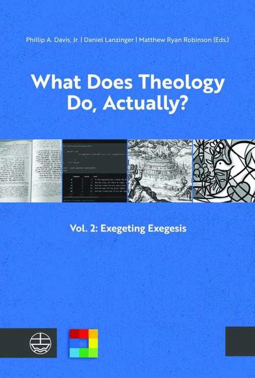 What Does Theology Do Actually