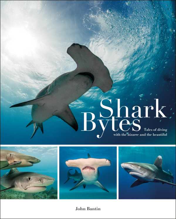 bw-shark-bytes-fernhurst-books-limited-9781909911734