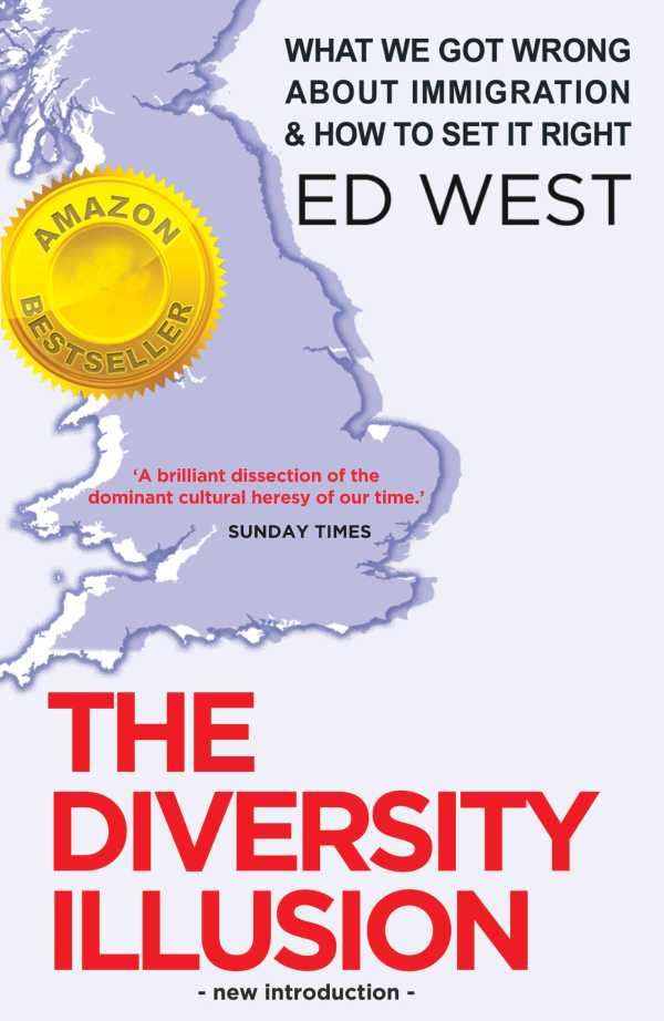 bw-the-diversity-illusion-gibson-square-9781908096630