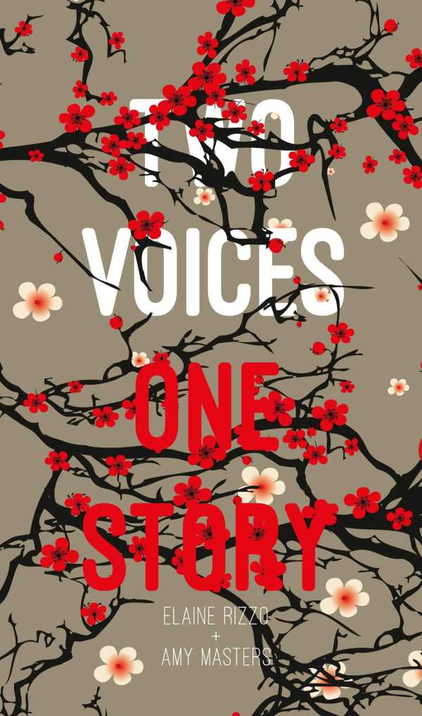 bw-two-voices-one-story-clink-street-publishing-9781911110804