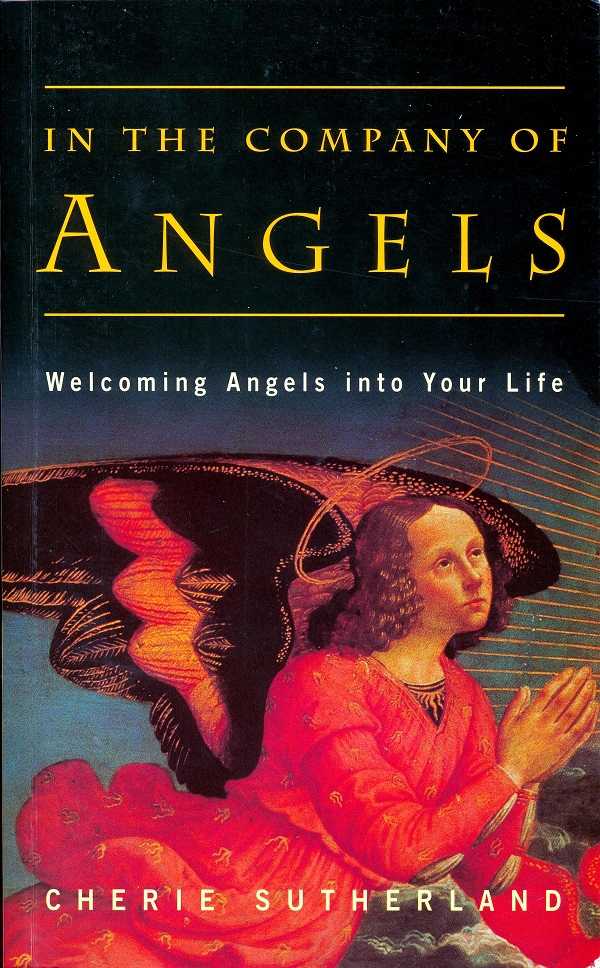 bw-in-the-company-of-angels-gill-books-9780717157594