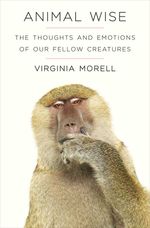 bw-animal-wise-old-street-publishing-9781906964931