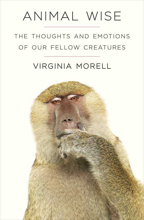 bw-animal-wise-old-street-publishing-9781906964931