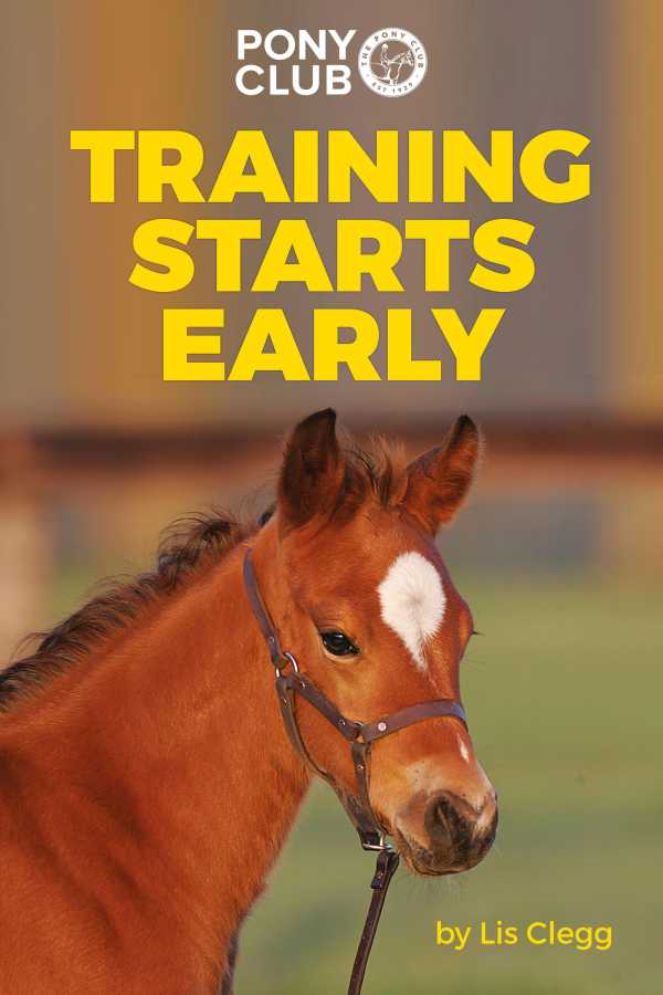 bw-training-starts-early-quiller-9781907279348