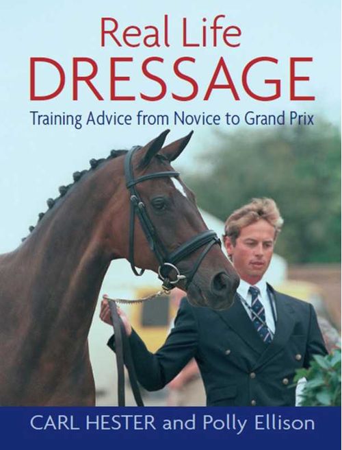REAL LIFE DRESSAGE