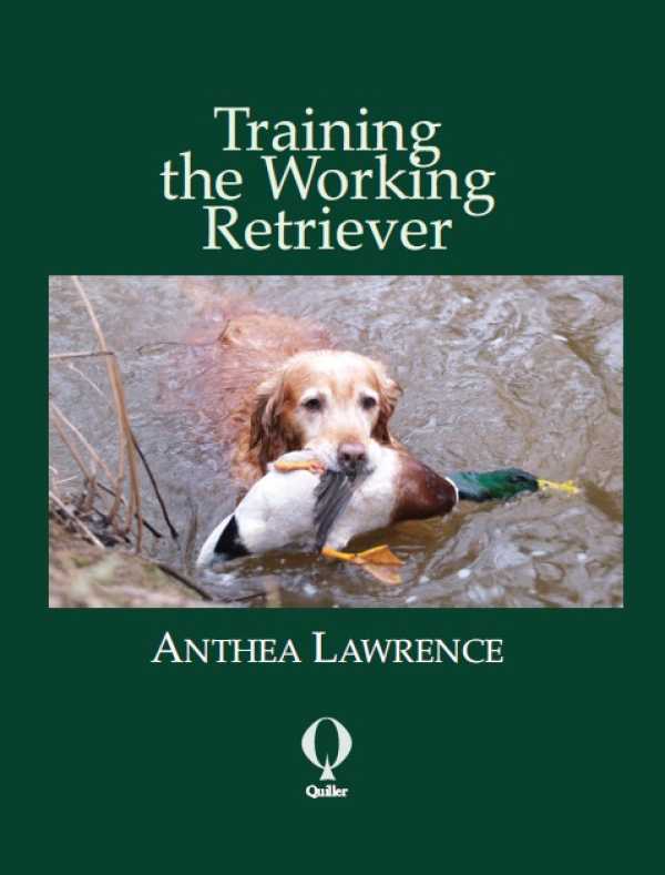 bw-training-the-working-retriever-quiller-9781846891601