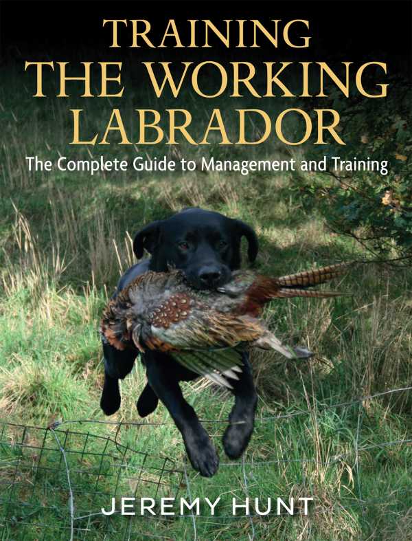 bw-training-the-working-labrador-quiller-9781846891977