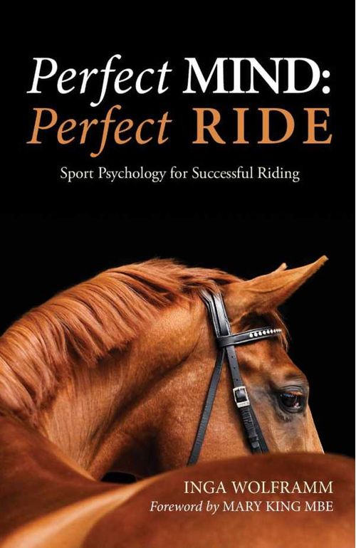 PERFECT MIND PERFECT RIDE