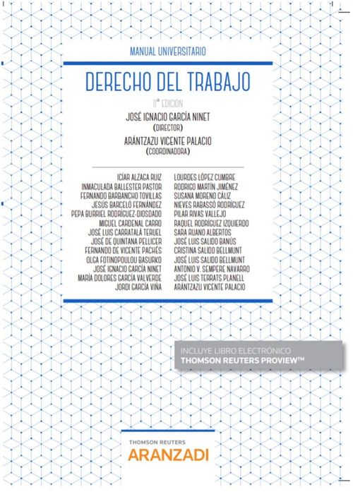 Derecho Del Trabajo (Papel + E-Book)