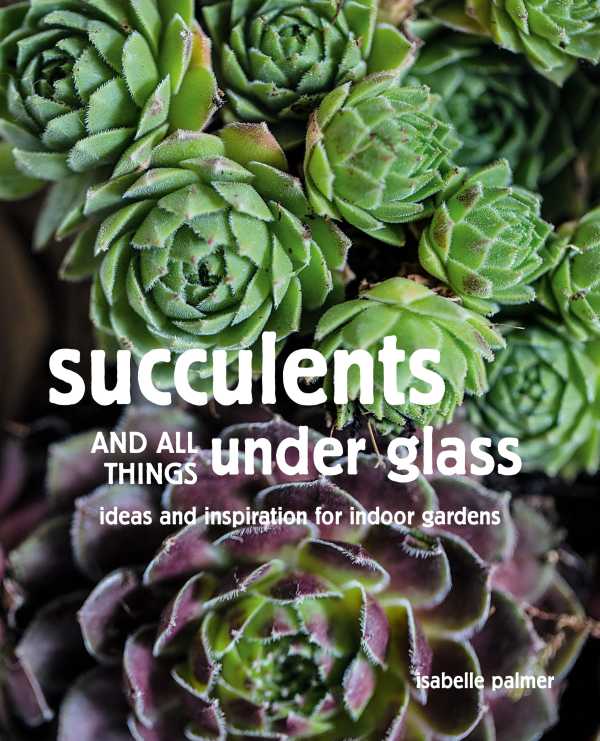 bw-succulents-and-all-things-under-glass-cico-books-9781800650022